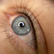 Межресничка