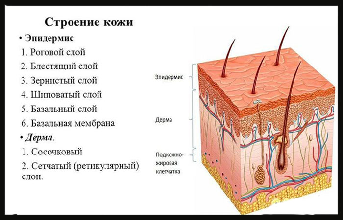 Зачем нужна коррекция перманентного макияжа?